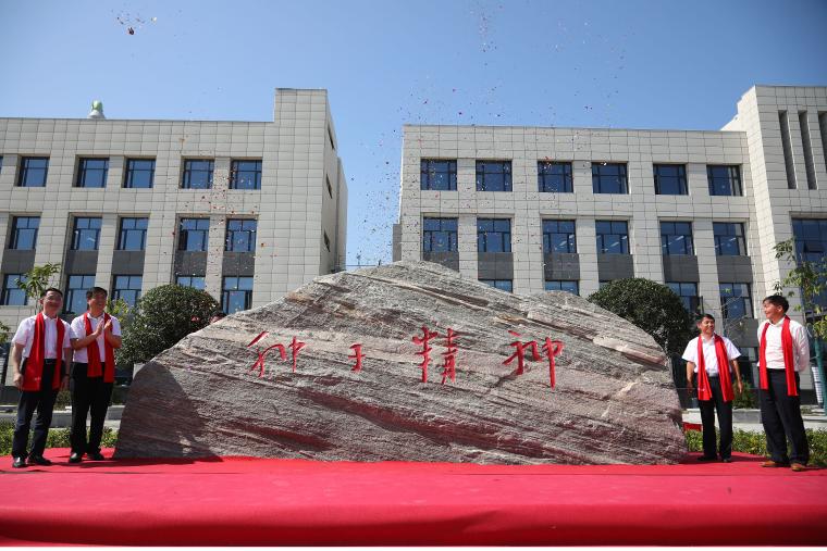 种子精神.jpg