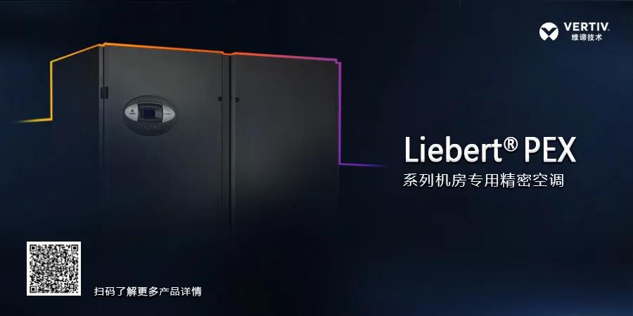维谛5.jpg