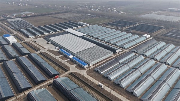 173733277(1).jpg 173733277(1).jpg