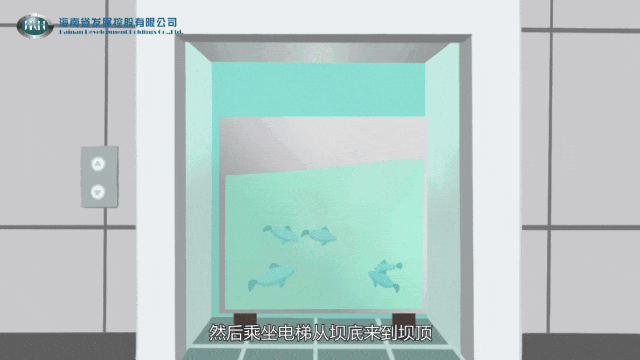 2.gif 2.gif