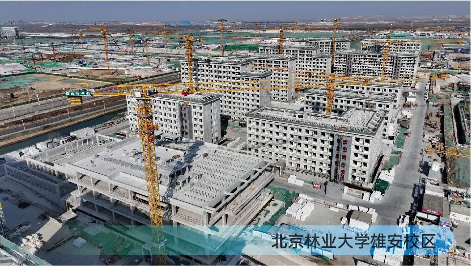 林业大学.jpg 林业大学.jpg
